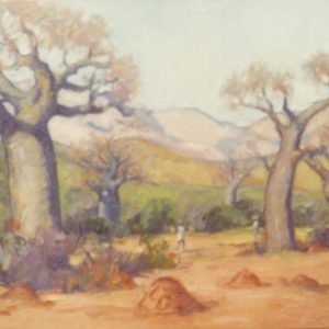 Les Baobabs de Maroasara