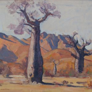 Baobabs de l’Androy