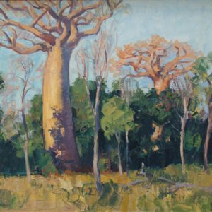 Les baobabs du Mangoky