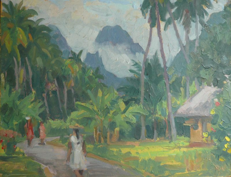 Paysage tahitien à Punaauia
