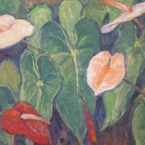 Anthuriums